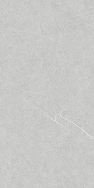 Living Ceramics Allure Light Grey Ductile 60x120