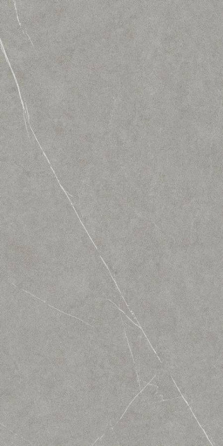Living Ceramics Allure Grey Ductile 60x120