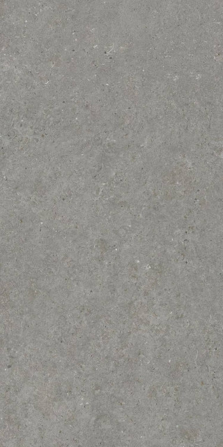 Living Ceramics Beren Darc Grey Natural Ductile 60x120H0.6