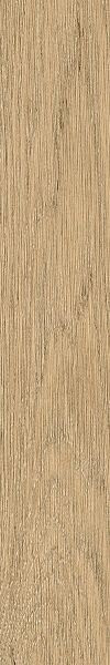 Living Ceramics Due Canella Soft 20x120