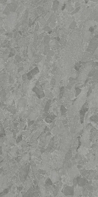 Living Ceramics Eme Grey Ductile 60x120