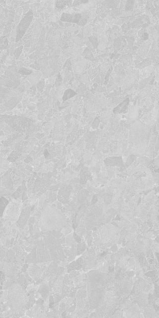 Living Ceramics Eme Light Grey Anti-Slip 60x120