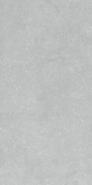 Living Ceramics Noon Grey Ductile 60x120