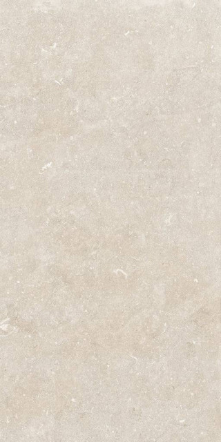 Living Ceramics Oda Light Ductile 59.8x119.8