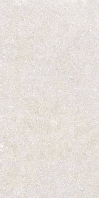 Living Ceramics Oda Ice Honed 59.8x119.8