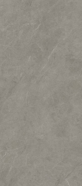 Living Ceramics Vonn Greige B.Hammered 6mm 120x270H0.6
