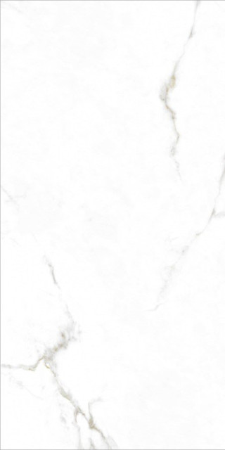 Monopole Augusta Gold 59x119