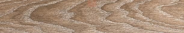 Monopole Line Oak 8х44