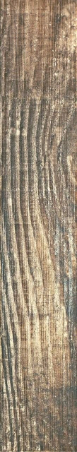 Monopole Roncal Anso 8х44,2