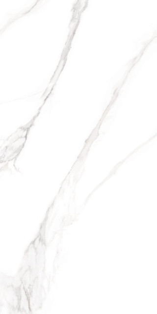 Museum Torano Bianco 60x120