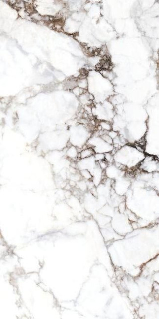 Museum Breccia White 60х120