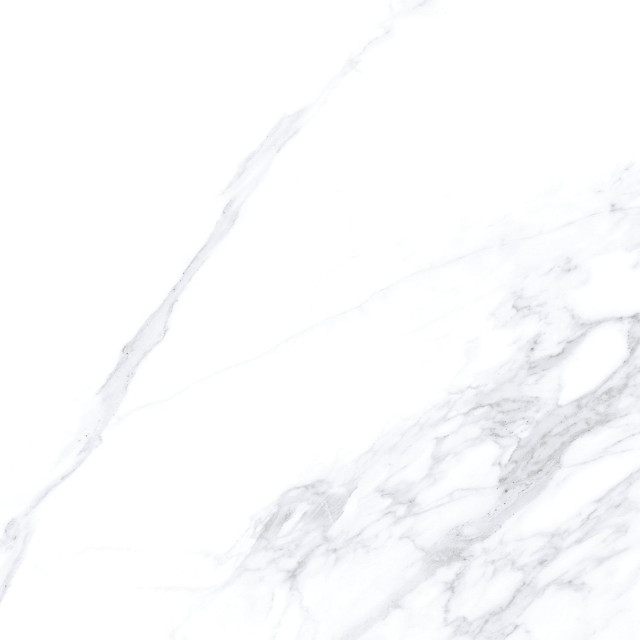 Museum Calacatta Extra White P 100x100