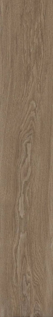 Museum Bloom Cognac SP/R 24x151H0.9