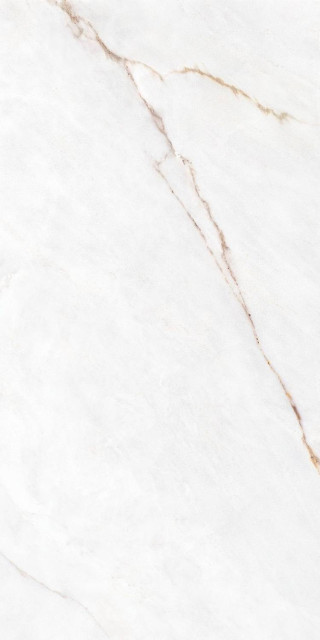 Museum Dahlia White NT/C/R 60x120H0.9