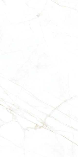 Museum Dual White NT R 60×120H1