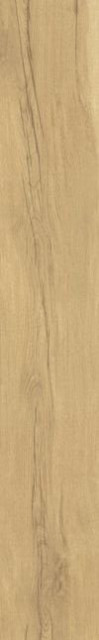 Museum Grow Honey SP R 24x151