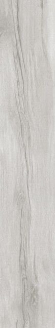 Museum Grow Dolphin SP R 24x151