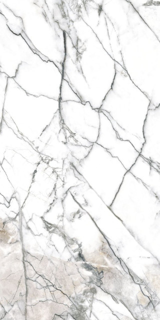 Museum Premiere White SP 75.5x151