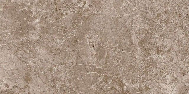Museum Solto Taupe RW/R 50x100