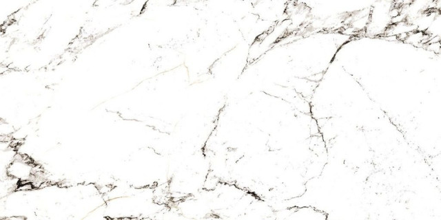 Museum Tucci Black 60х120