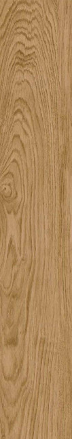 New Tiles Tundra Natural 20x120H0.95