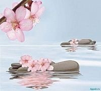 Novogres Fresh Decor Goa Luz 54х60