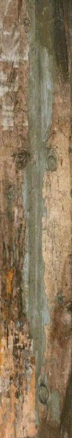 New Tiles Hollywood Natural 20x120H0.95