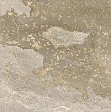 New Tiles Bali Sand In&Out Matt R11 60x60H0.95