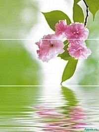 Novogres Fresh Decor Goa Avril-3 81x60