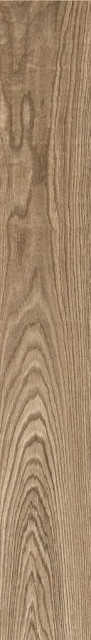 Pamesa At. Oregon Roble 20x120