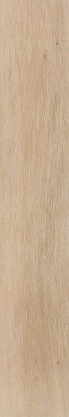 Pamesa AT. Viggo Arce 20x120