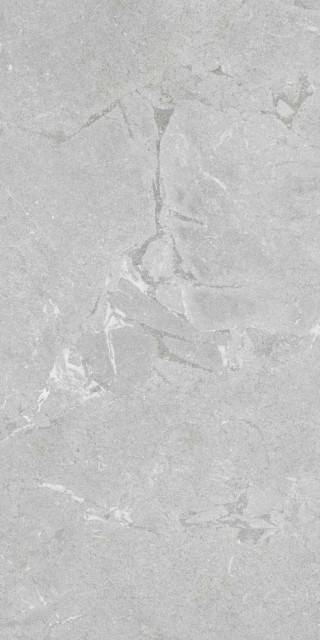 Pamesa Constanza Grey Matt 60x120H0.9