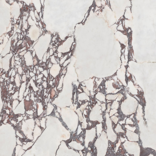 Pamesa CR Lux Viola Pol Rett 120×120