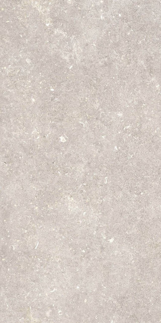 Pamesa Dover Greige Matt Rect 60x120H0.78