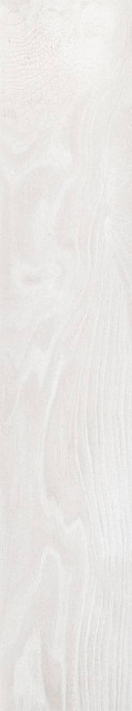 Pamesa Eternity Blanco Rect Matt 20x120