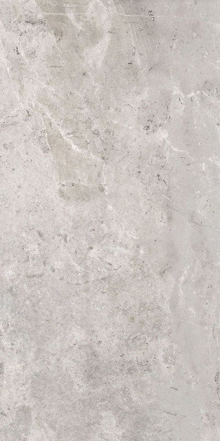 Pamesa Erding Silver Decorstone Rett 60x120