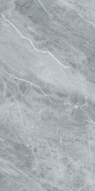 Pamesa Pietra Di Savoia Argento Rect 60x120