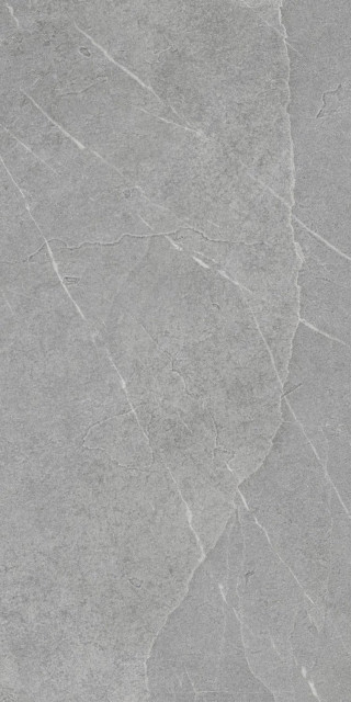 Pamesa Pietra Di Lavagna Argento 60x120