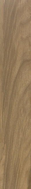 Pamesa Walnut Tan 20x120
