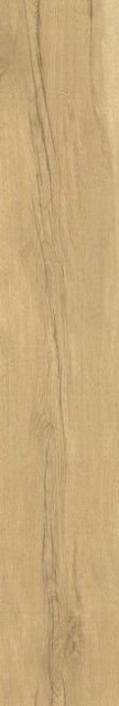 Peronda Grow Honey SP R 24x151