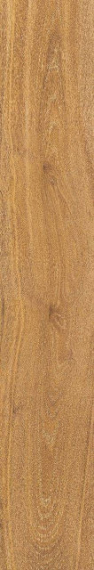 Peronda Verbier Honey As C/R 9mm 19.5×121