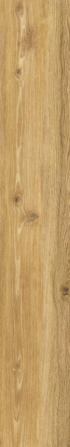 Peronda Verbier Honey AS C/R 9mm 24x151H0.9