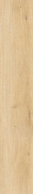 Peronda Whistler Honey A/R 24x151