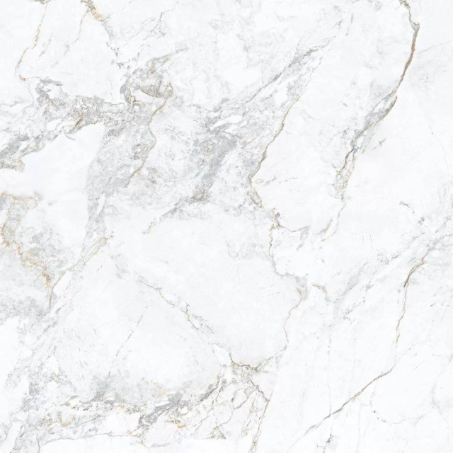 Porcelanite Dos Iguazu 1865 White 100x100