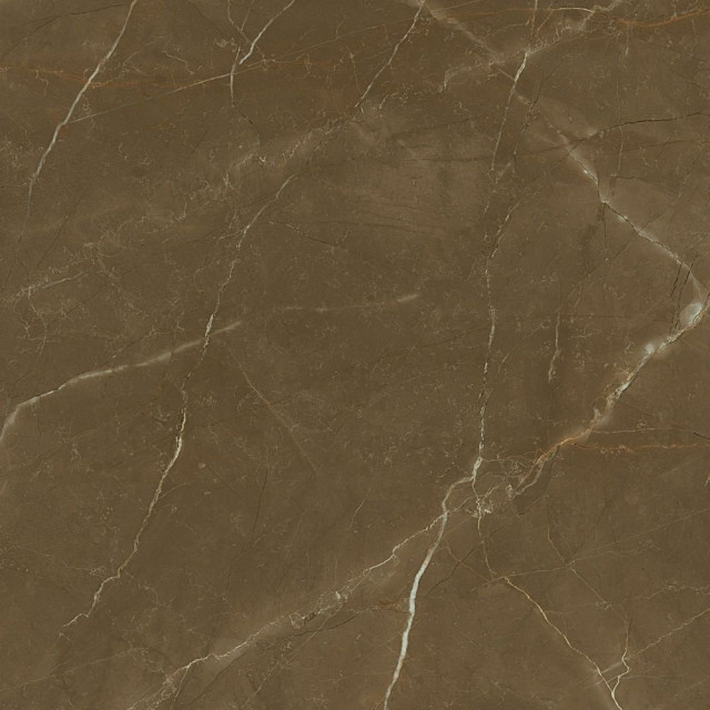 Porcelanite Dos Venecia 1804 Tabaco Pulido 98x98