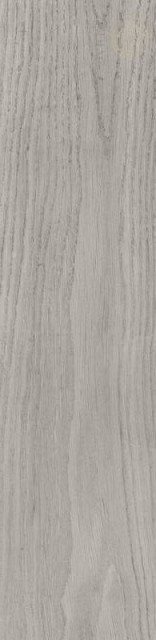 Porcelanosa Forest Par-ker Acero 22x90