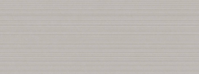 Porcelanosa Newark Acero Matt 45x120H1.1