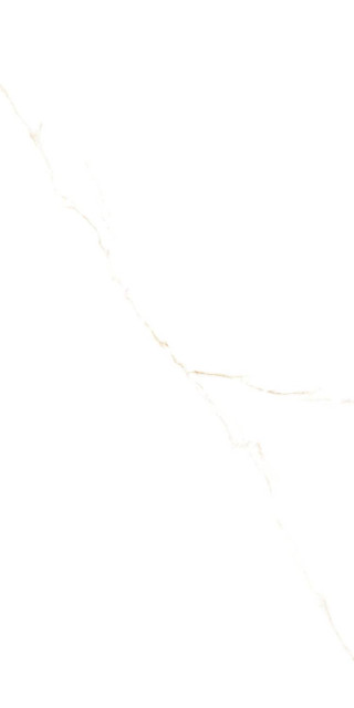Prissmacer Aire Gold Matt 60x120H0.9
