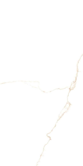 Prissmacer Bianco Mare Gold Luxglass 60x120H1.05