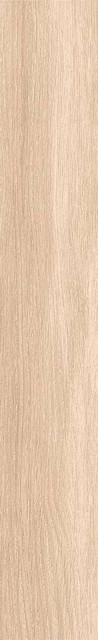 Ribesalbes Bremen Sajonia R10 10x60H0.96